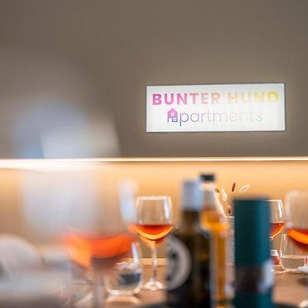 Bunter Hund Apartments - Balkon, Zentral, Geraeumig Bamberg Ngoại thất bức ảnh